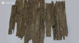 High quality Vietnam Agar wood chips Grade B 